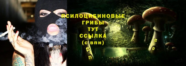 сатива Майский