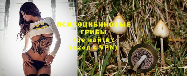 молекула духа Магас