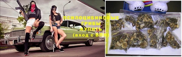 сатива Майский